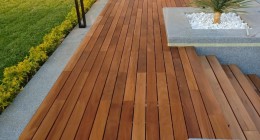 WhatsApp Image 2025-01-19 at 14.32.08